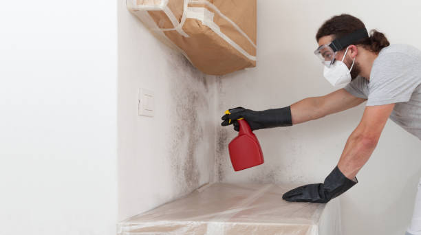 Professional Mold Inspection And Testing technician working in Neshanic Station, NJ